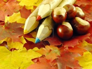 157_imp_1718942-autumn-composition-chestnuts-and-color-pencils-on-leaves.jpg