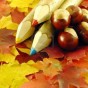 157_imp_1718942-autumn-composition-chestnuts-and-color-pencils-on-leaves.jpg
